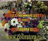       - Coloratorg , 